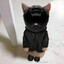 Сисюлики