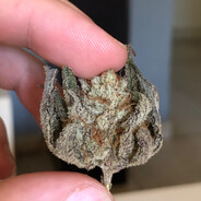 Argentina420 Steam avatar