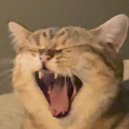 转给我只会送刚枪