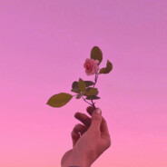 愿以温柔待花开