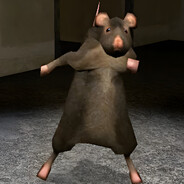 Rat