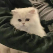 怎么松开我的W?