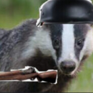 Borsukbadger1
