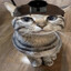DE cat