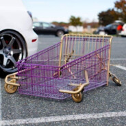 stanced shopping cart