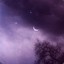 BlackOrchid5377