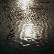 她只是，再也没出现过