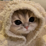 0000 - steam id 76561199816993421