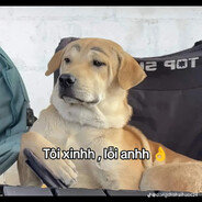 Gặt giò đồng đội