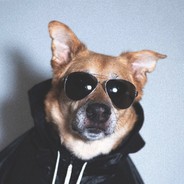 紫米麻薯奶酪包