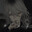 anhedonia