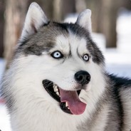 她不等我但老六会等你