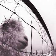 pauloexcavationservices