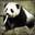 Stupid_Panda3421