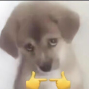 多次拒绝爆萌甜妹