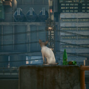 晴雯对不过关门放麝月:(