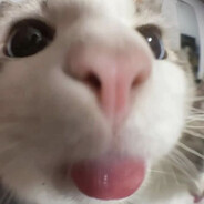 ẌūℒΐǤắ₦
