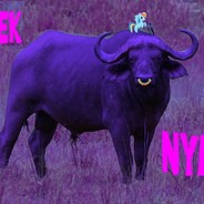 Nyati-Parek