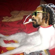 ho$t.mob