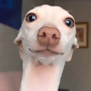 春花秋月何时了