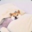 Mzzzzzzzzz