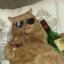 AlcoholiCat