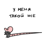 Серфер по кискам