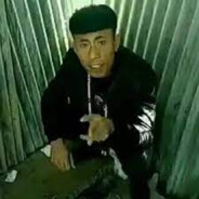 终极邪恶暴龙手冲王