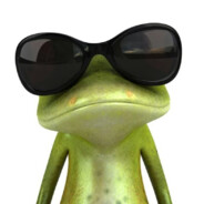 поцик на моцике