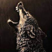 ♛ StarK ♛