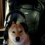MrNiksu