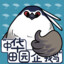 鹈形目