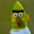 Bert