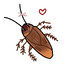 Cockroach 𓆣♡