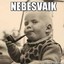 Nebesvaik