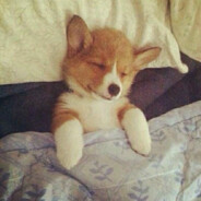 放我一马，我是ikun