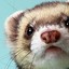 SugoiHamster