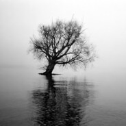 我的智力有问题