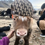 ɛ=ɛ=ɛ= (゜ロ゜;)