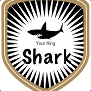 鲨鱼电竞·五筒