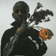 mihalekq2OOIQ_skins.army