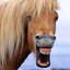 я не даун's avatar