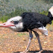 M𝓮X𝓮xoØ♛♛