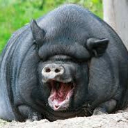 Анальный глагол