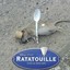 Ratatouille Rat