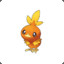 Torchic :-)