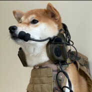 你的人生充满了破绽