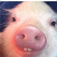 MiniPig
