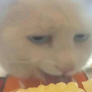 自魏以后就是北朝