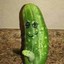 Horny Pickle